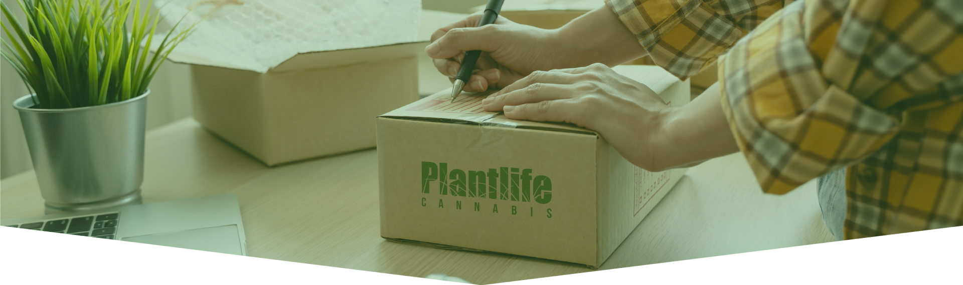 Premium Cannabis Dispensary to Buy Weed Online Ireland